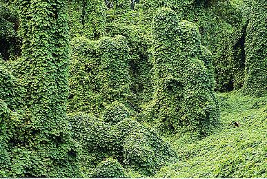 游戏设计师认为Xbox Series S迟早会限制游戏开发