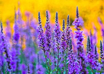 《地狱之刃2》M站均分81 IGN打出8分GS打出6分