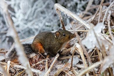 《光与影：33号远征队》超长演示 画面美战斗酷炫
